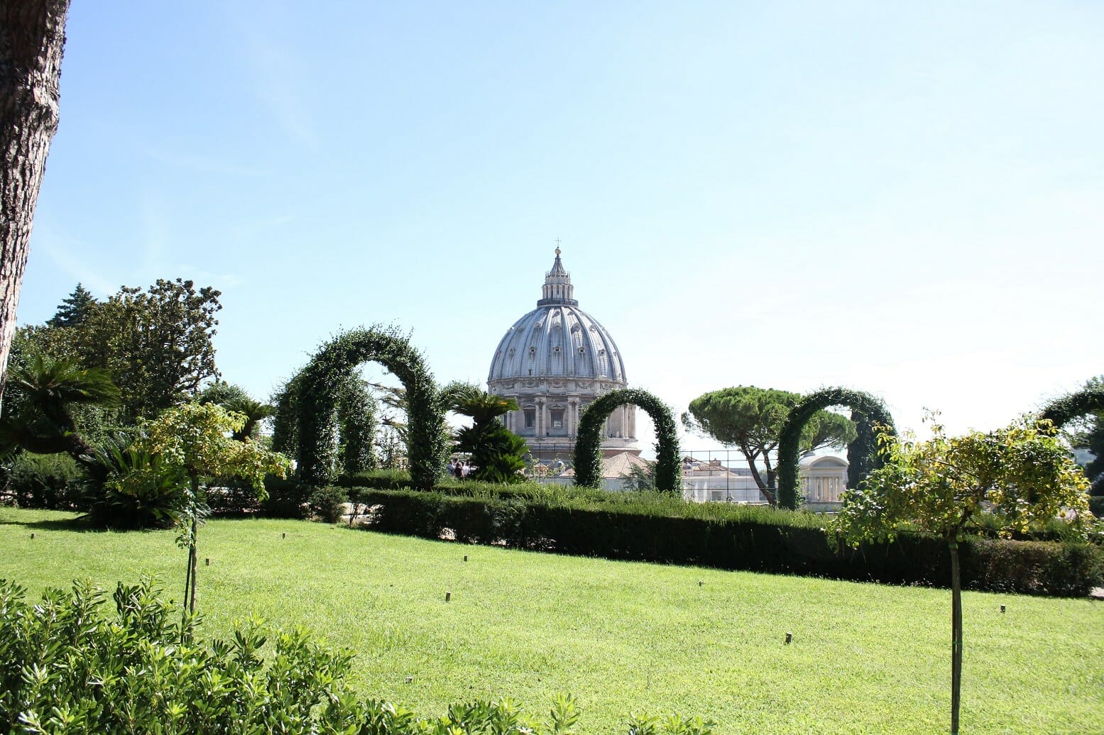 hwo to Skip the Line in rome Vatican Garden