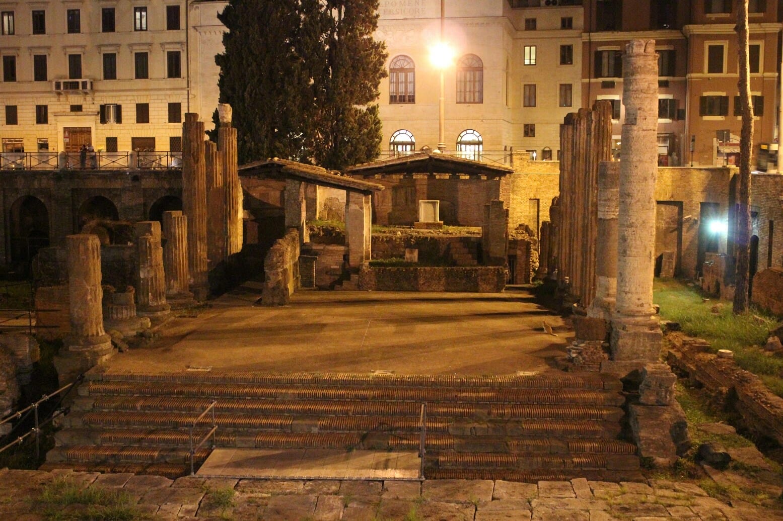 3 days in rome largo argentina