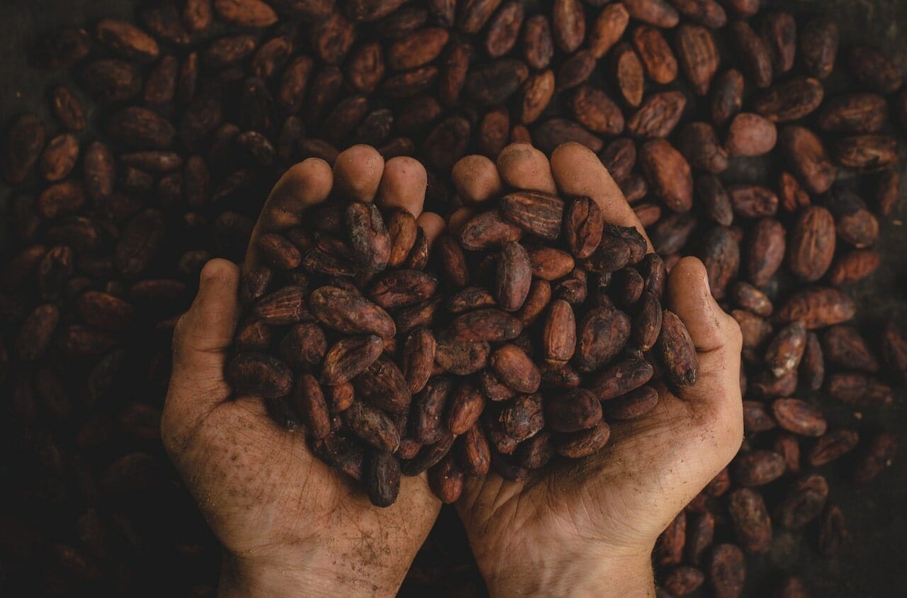 La_Bottega_Del_Cioccolato_@pablo_merchan_montes_unsplash buy handicrafts in Rome La Bottega Del Cioccolato