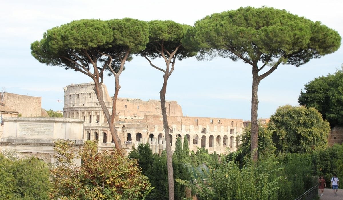 List of the Trees in Rome
