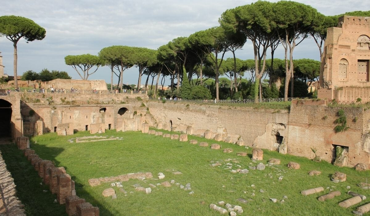 Types of trees in Rome