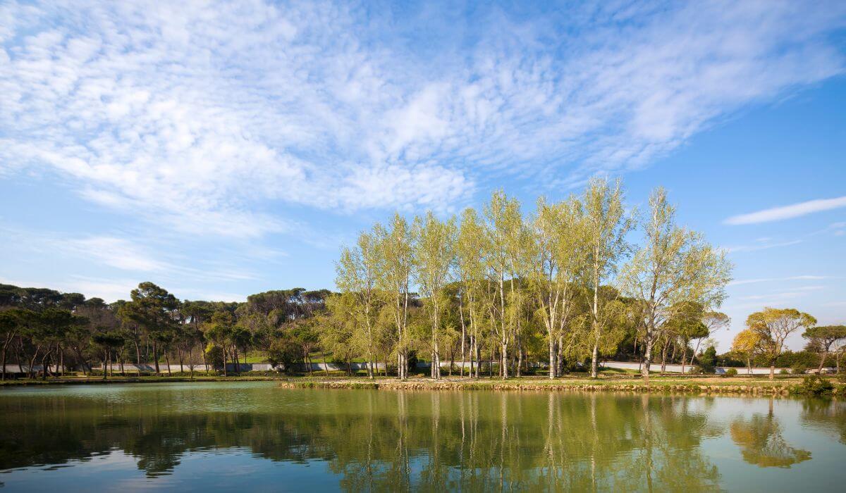 Villa Ada in Rome visit