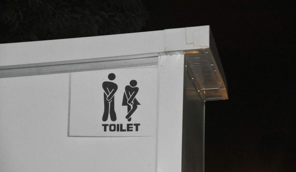 Types Toilets Rome 1024x597 