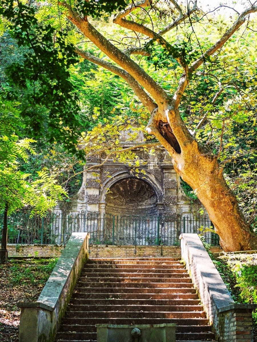 Orto Botanico di Roma Guide