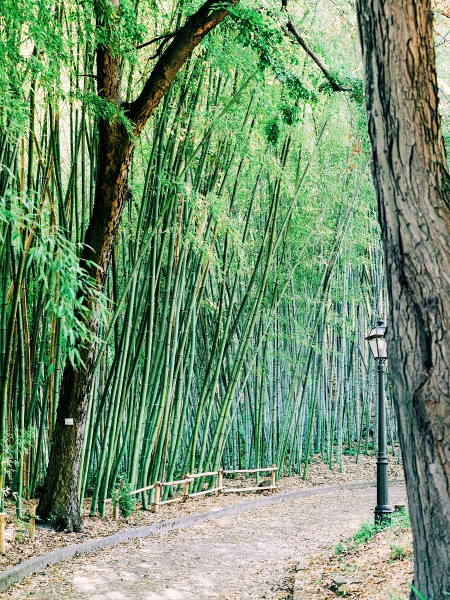 Rome botanic gardens