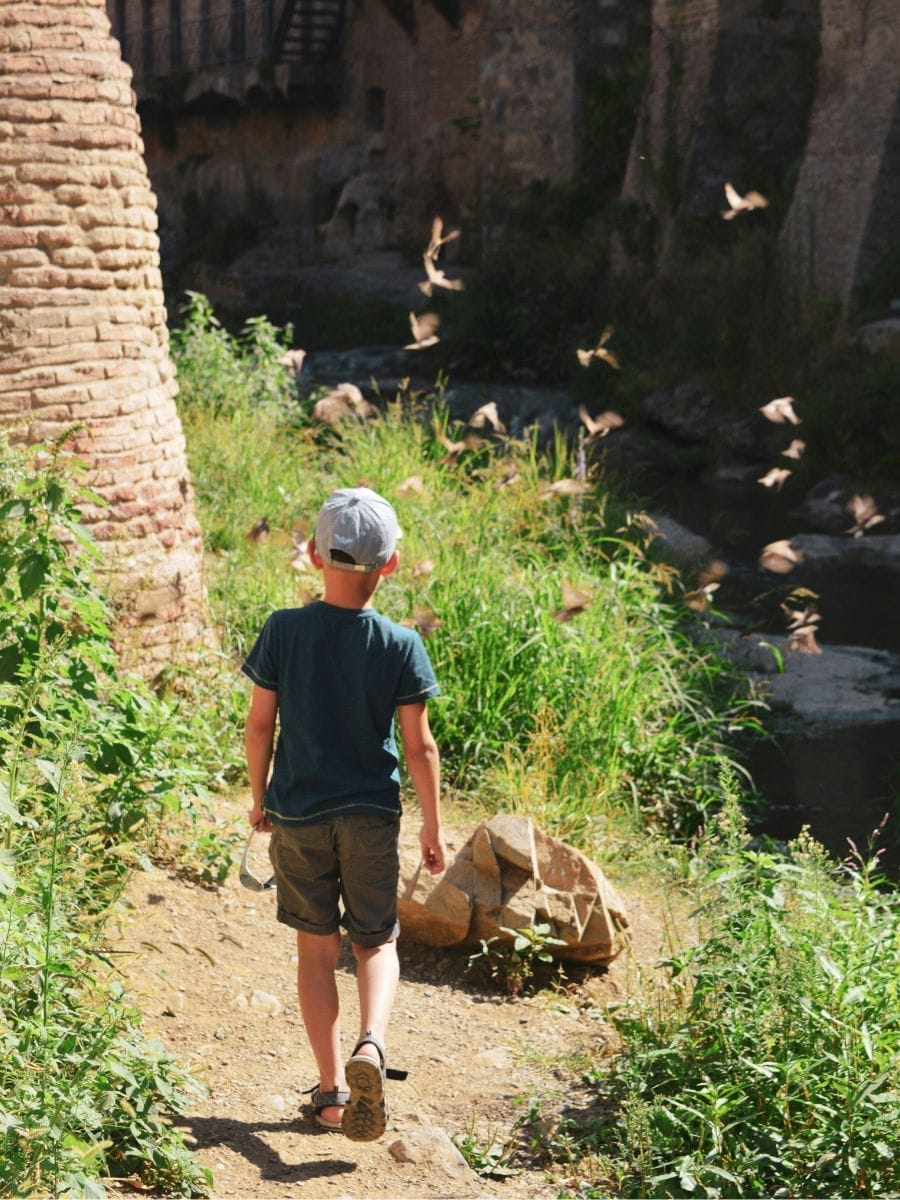 family trip to Rome travel guide