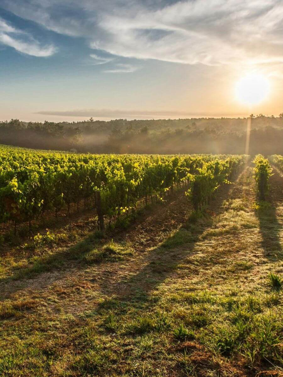 Tuscany Places to Visit in Italy