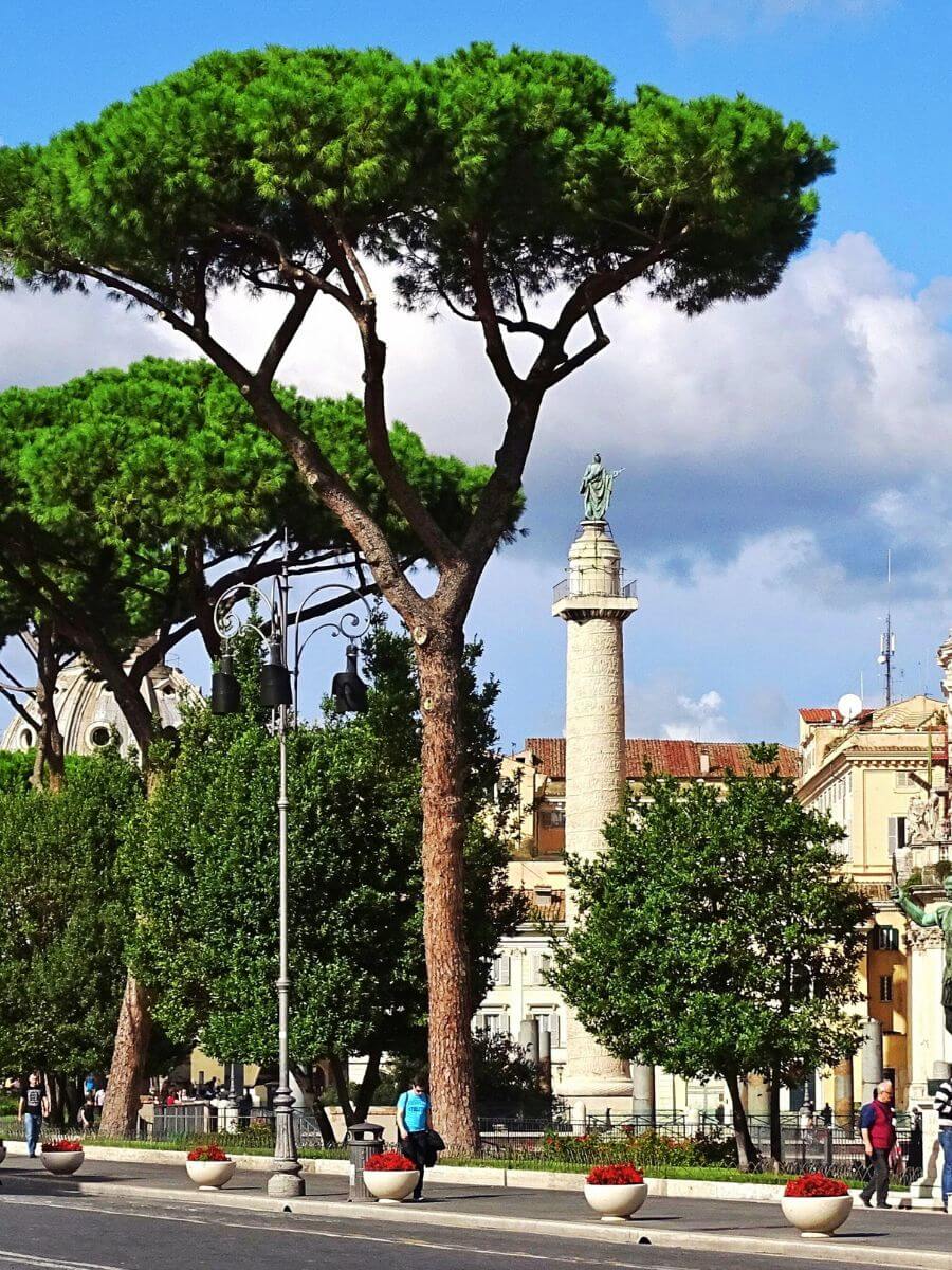 Trajan’s Column in Rome architecture